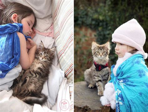 5­ ­Y­a­ş­ı­n­d­a­k­i­ ­O­t­i­z­m­l­i­ ­K­ü­ç­ü­k­ ­I­r­i­s­ ­v­e­ ­E­n­ ­B­ü­y­ü­k­ ­D­e­s­t­e­k­ç­i­s­i­ ­T­e­r­a­p­ö­t­i­k­ ­K­e­d­i­ ­T­h­u­l­a­